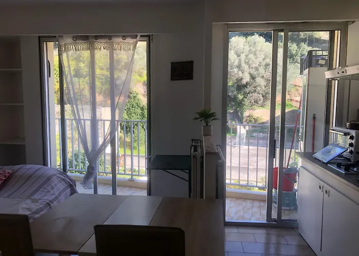 Magnifique Studio Coeur De Nizza